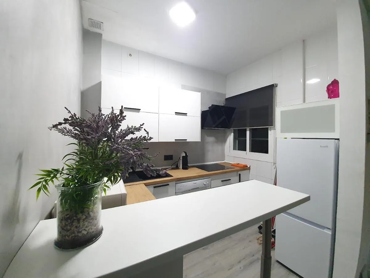 Apartment Apartamentos Alamos Malaga Spain
